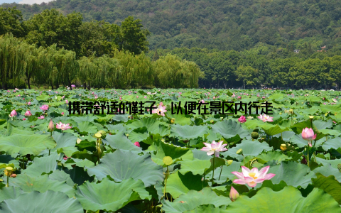 携带舒适的鞋子, 以便在景区内行走