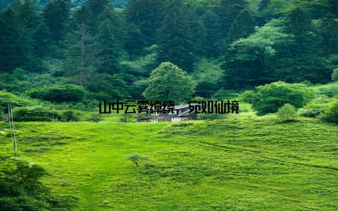 山中云雾缭绕, 宛如仙境