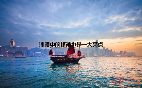 沙漠中的植被也是一大亮点