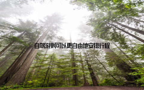 自驾游则可以更自由地安排行程