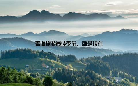 青海旅游最佳季节, 就是现在