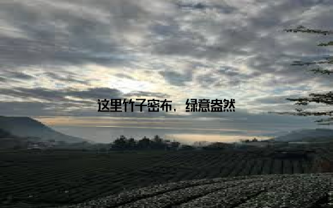 这里竹子密布, 绿意盎然