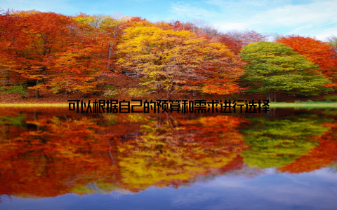 可以根据自己的预算和需求进行选择