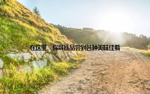 在这里, 你可以品尝到各种美味佳肴