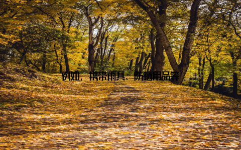 例如, 携带雨具、防晒用品等