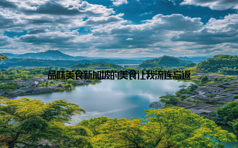 品味美食新加坡的美食让我流连忘返