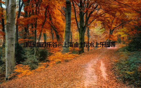 如深圳欢乐谷、上海迪士尼水上乐园等