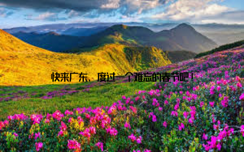 快来广东, 度过一个难忘的春节吧!