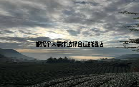 根据个人需求选择合适的酒店