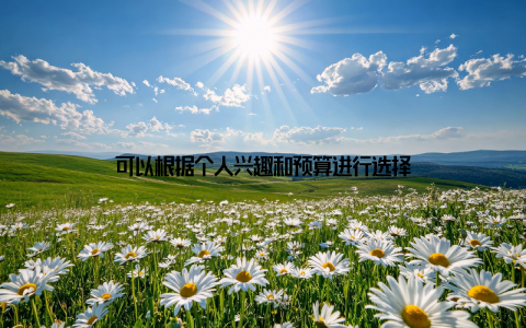 可以根据个人兴趣和预算进行选择