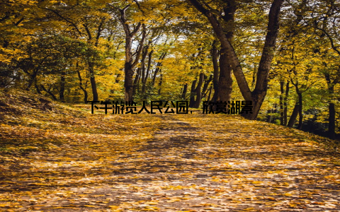 下午游览人民公园, 欣赏湖景