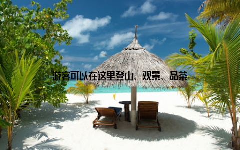 游客可以在这里登山、观景、品茶
