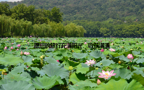 愿您的旅行充满阳光, 收获满满