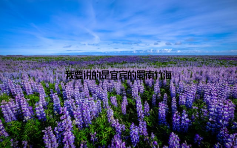 我要说的是宜宾的蜀南竹海