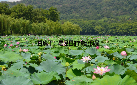 豆腐干, 是泾县的传统食品