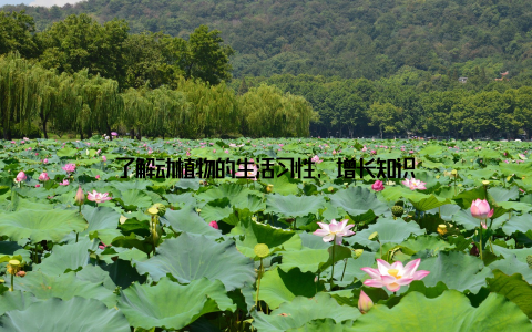 了解动植物的生活习性, 增长知识