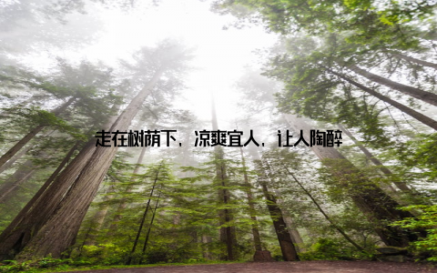 走在树荫下, 凉爽宜人, 让人陶醉