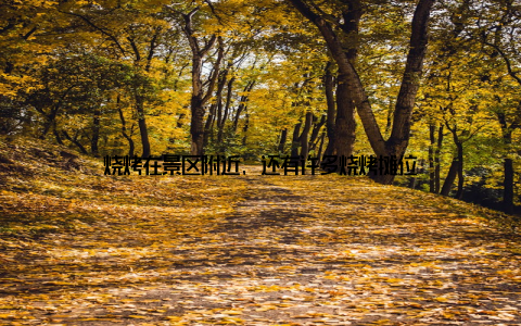 烧烤在景区附近, 还有许多烧烤摊位