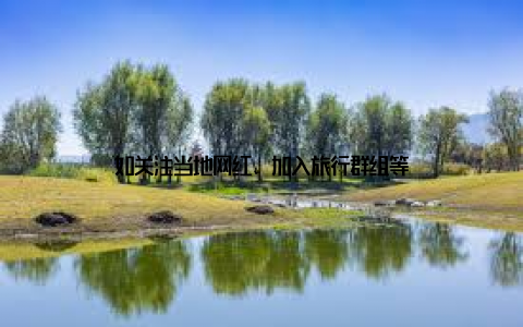 如关注当地网红、加入旅行群组等