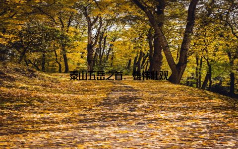 泰山五岳之首, 雄伟壮观