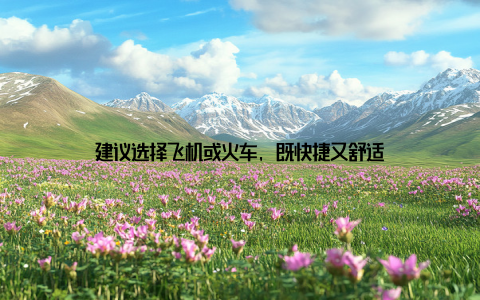 建议选择飞机或火车, 既快捷又舒适