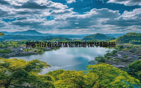 游客可以在这里体验深圳的繁华和时尚